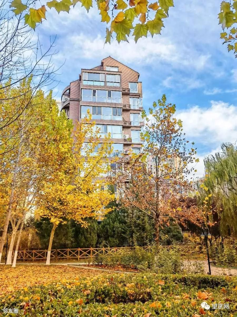 没想到小区的夜景如此美丽,望京环境好的小区