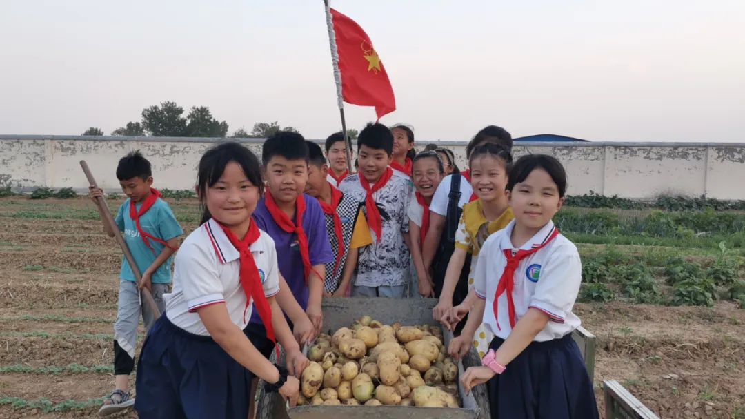 “土”露汗水“豆”耘童年——东风小学劳动教育实践活动之土豆丰收季