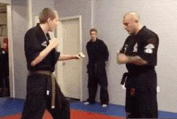 中国暴打日本人,中国鳗鱼咬人事件