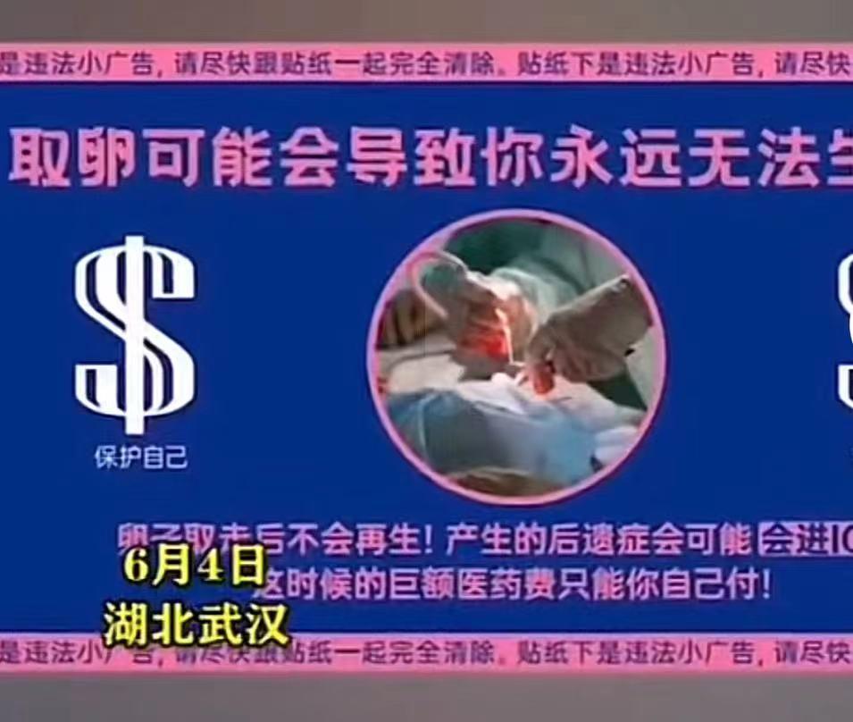 高校女厕见不得光的“高薪兼职”，撕碎了多少女大学生的遮羞布