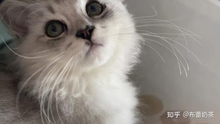 治愈的故事视频,一个癌症患者的康复故事在线阅读