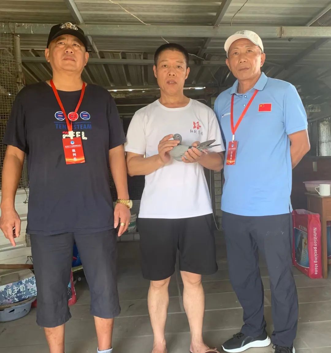 陋棚一样可以飞出“飞龙荣耀杯”13760羽总冠军，王志杭夺得亚军