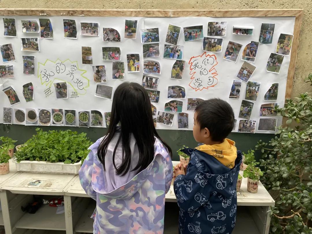 大理幼儿园环境,大理县城幼儿园