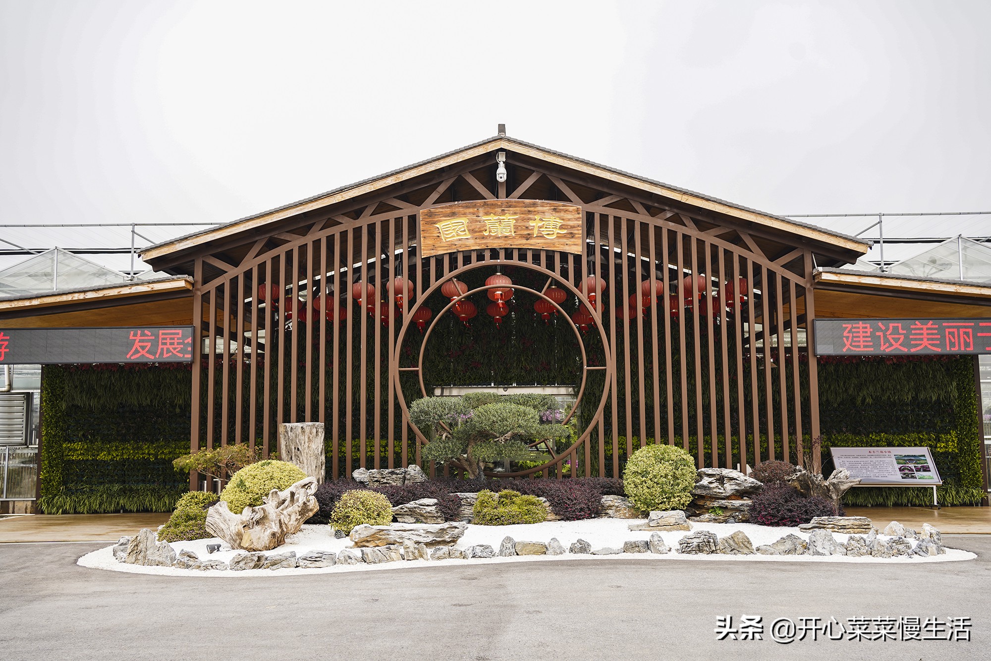 广东兰花第一县,中国最漂亮的兰花小镇