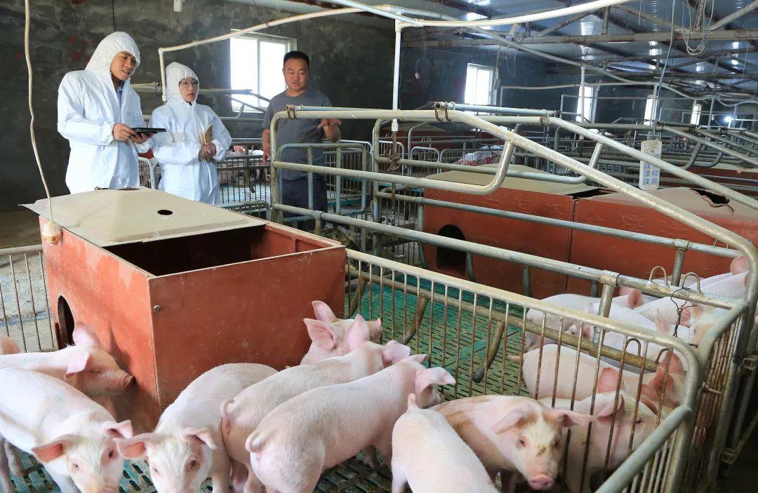 2024全国两红两优表彰,铜仁市两红两优光荣榜揭晓