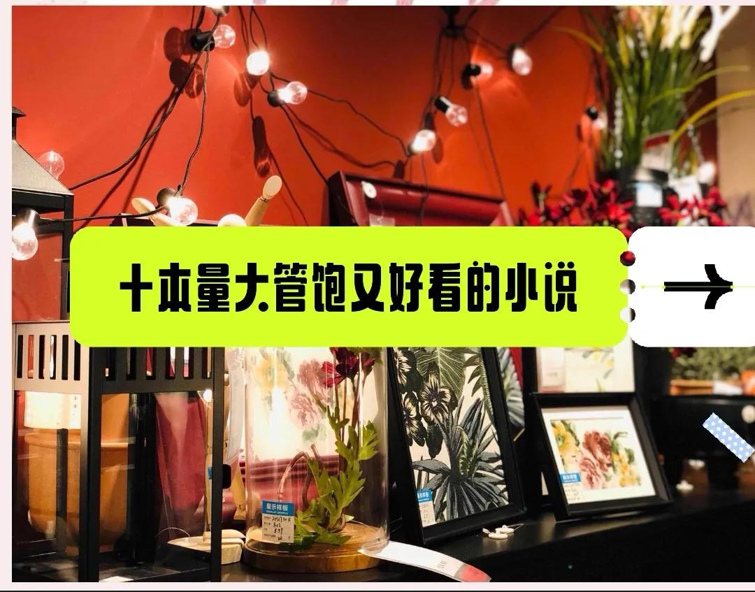 30本高质量小说推荐,十本题材新颖的高质量小说推荐