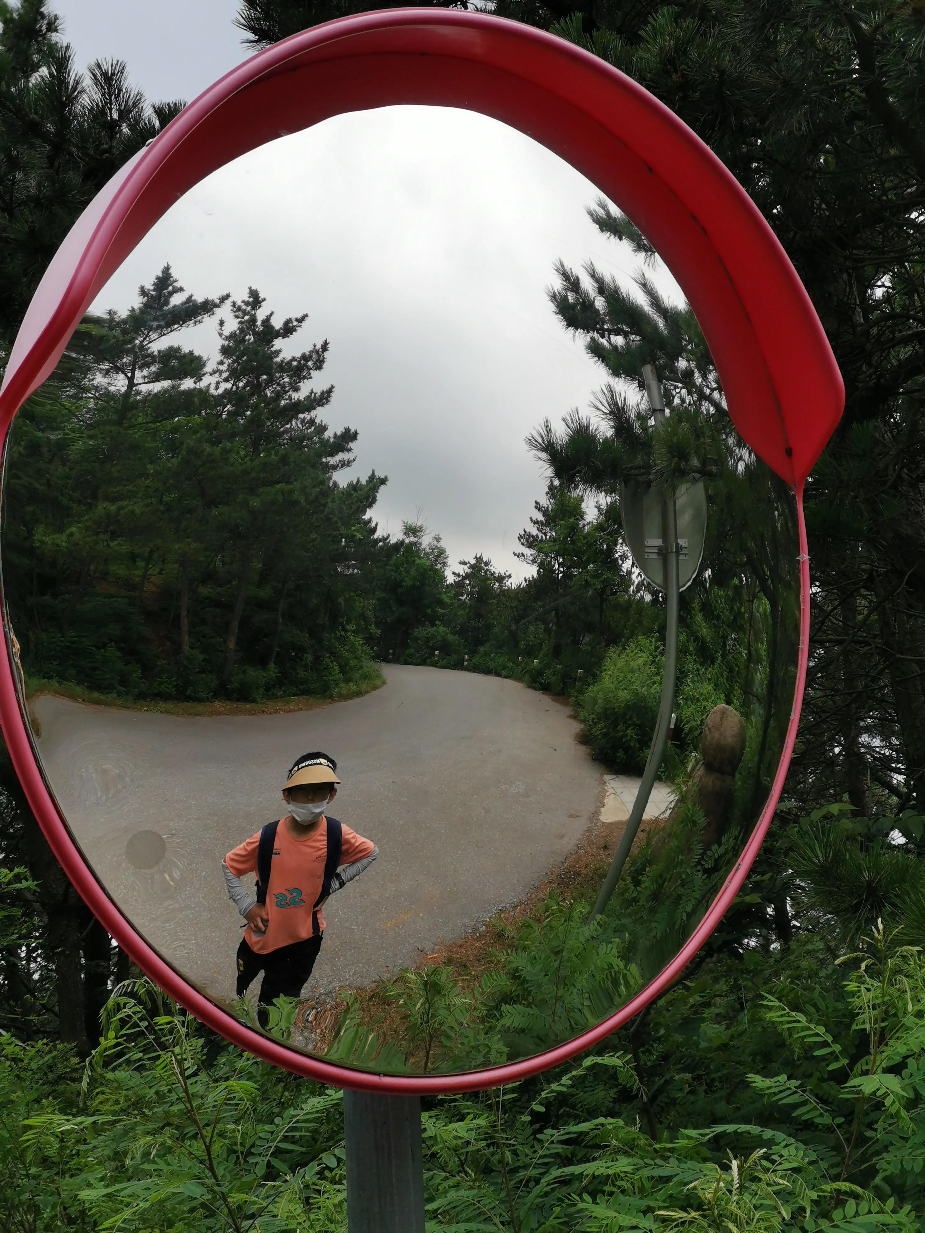 大连动物森林公园旅游攻略,大连森林动物公园旅游攻略