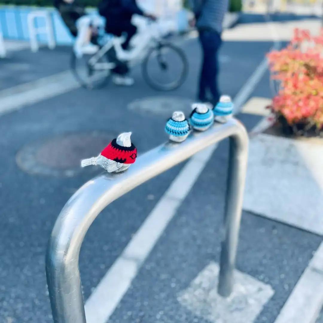 害怕小鸟受凉，有人悄悄为它们织了22年的毛衣