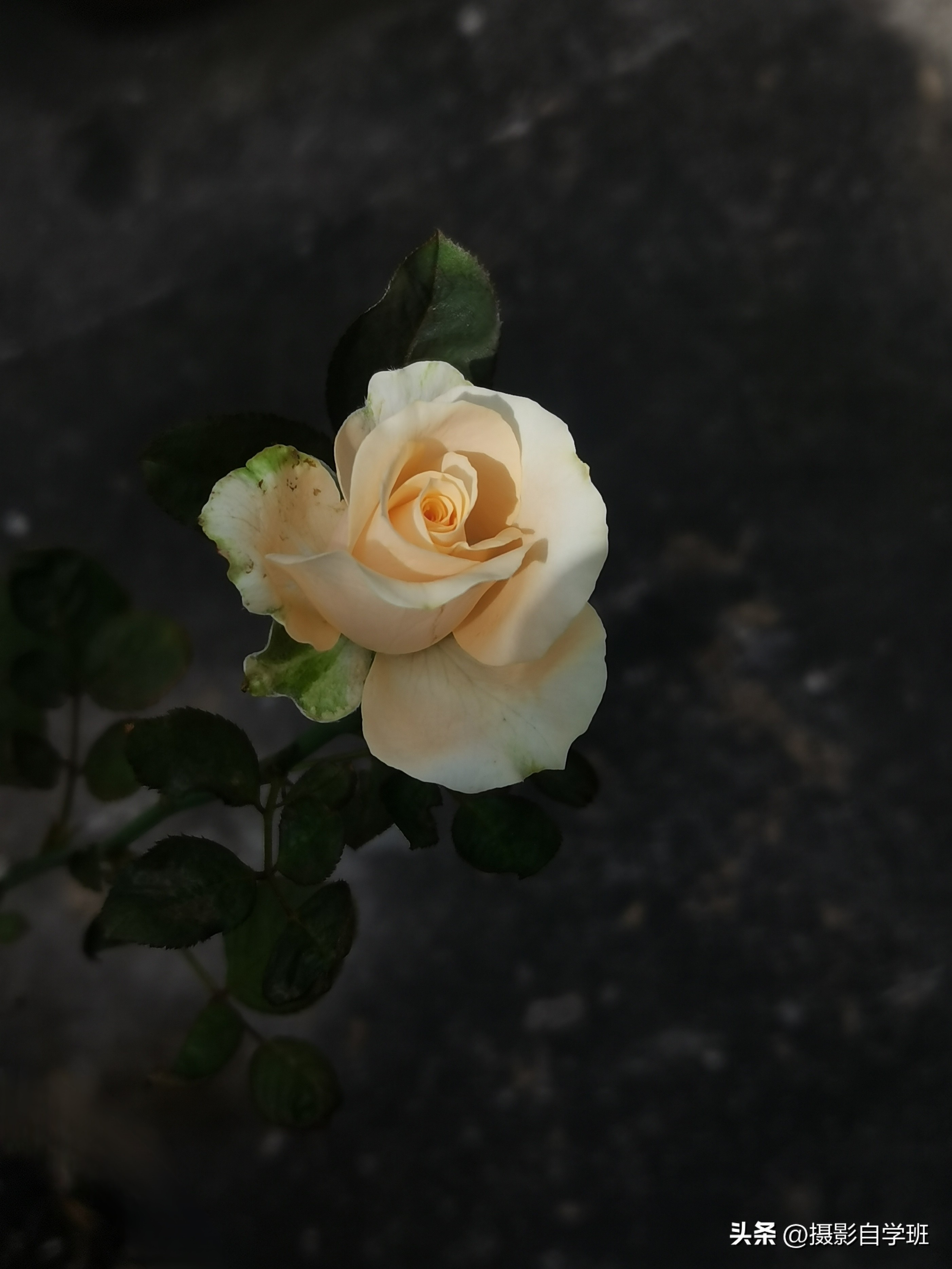 摄友投稿图片,摄友投稿旅行记录图