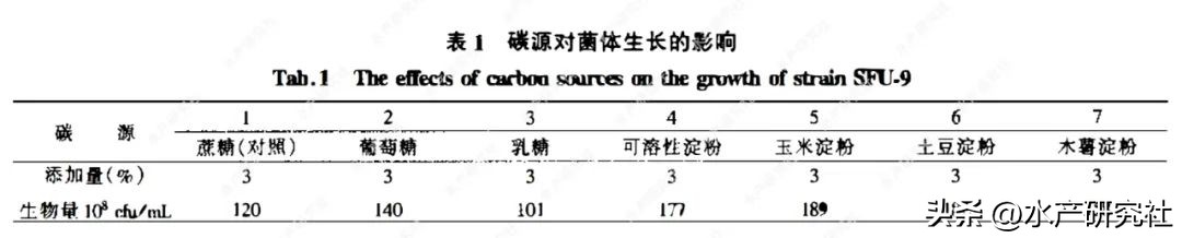 发酵芽孢杆菌需要多少温度,芽孢杆菌最佳发酵是开口还是封口