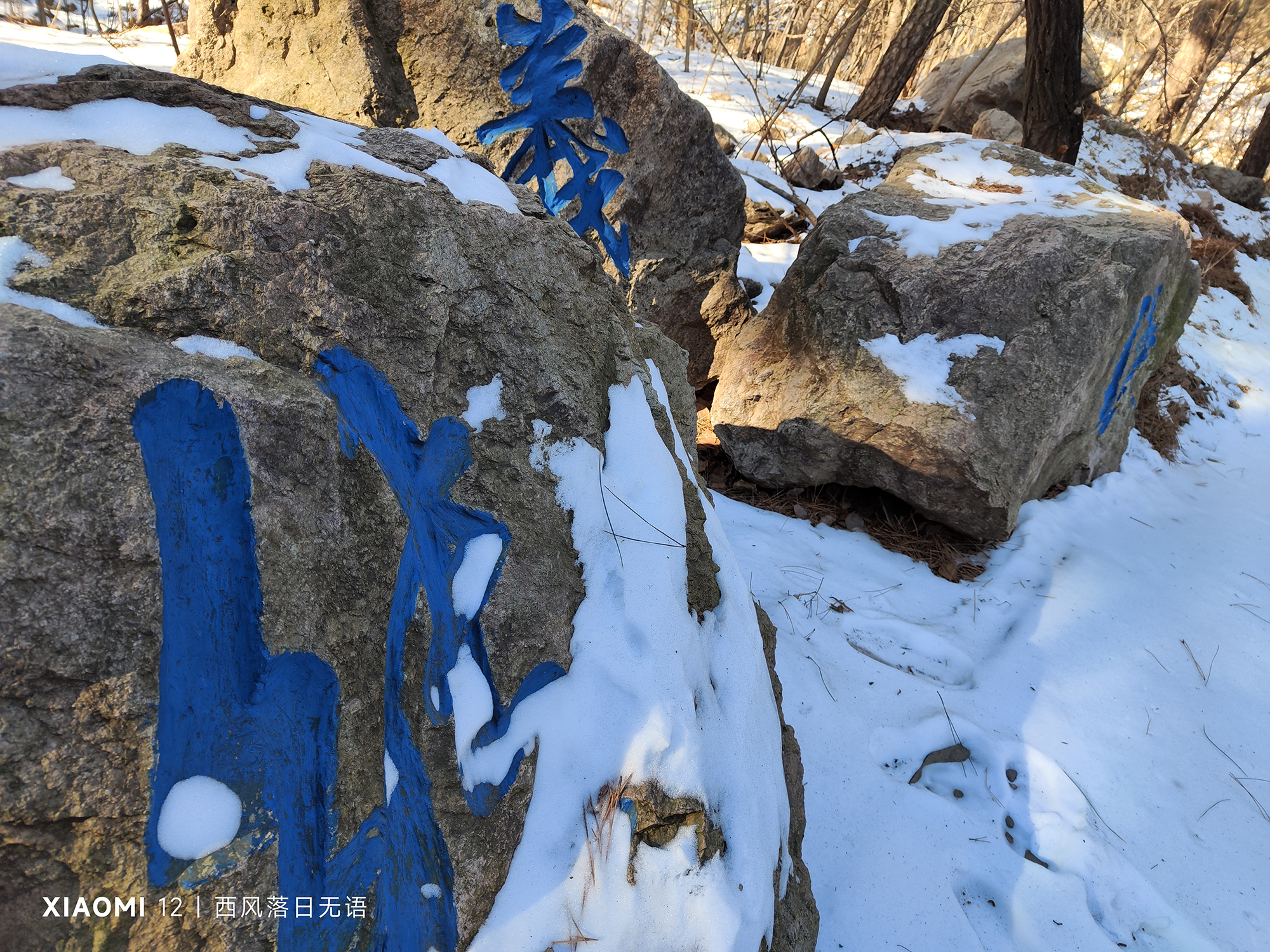 小米12还值得入手嘛,小米12还值得入手么最新