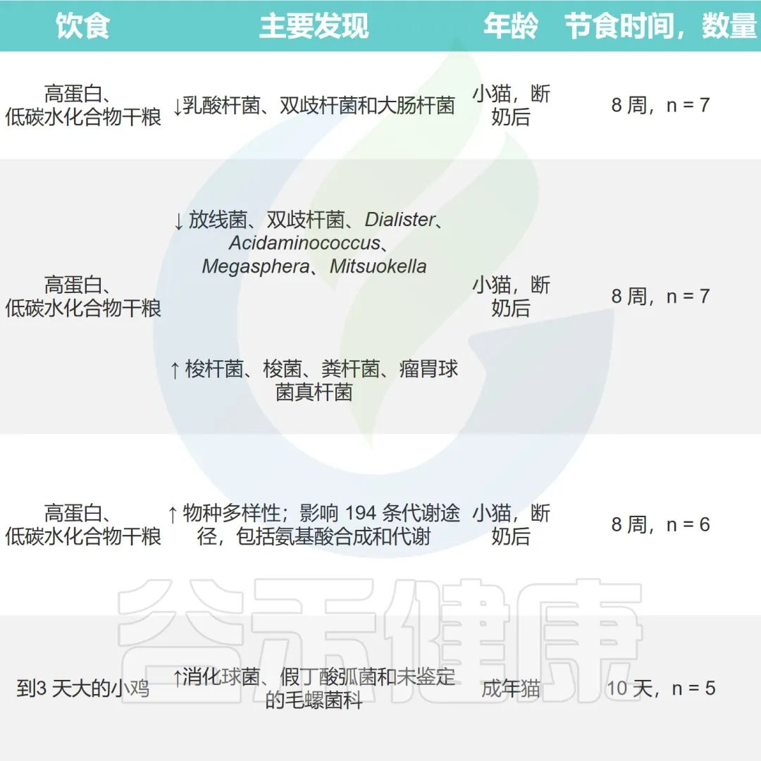 猫肠道菌群活性显微镜,猫肠道菌群类型图