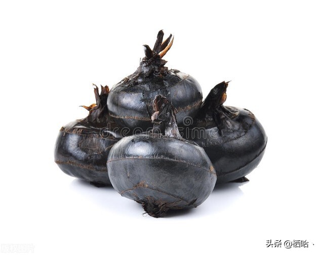 道不尽的乡情,热情的乡情