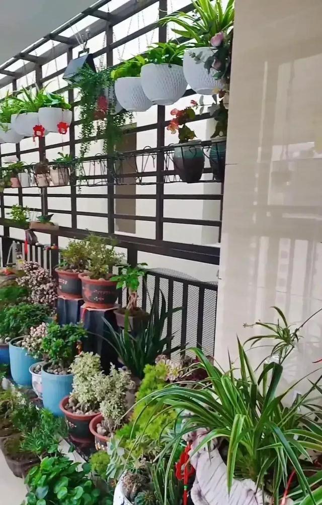 摊上这样的邻居,摊上这种邻居