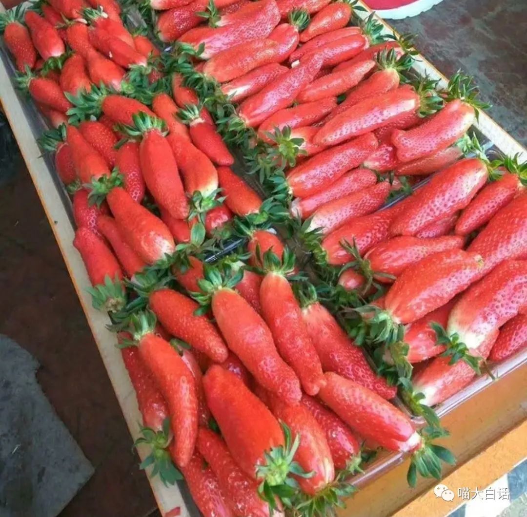 “不小心把饭卡落在女浴室后....”哈哈哈哈哈这是什么名场面