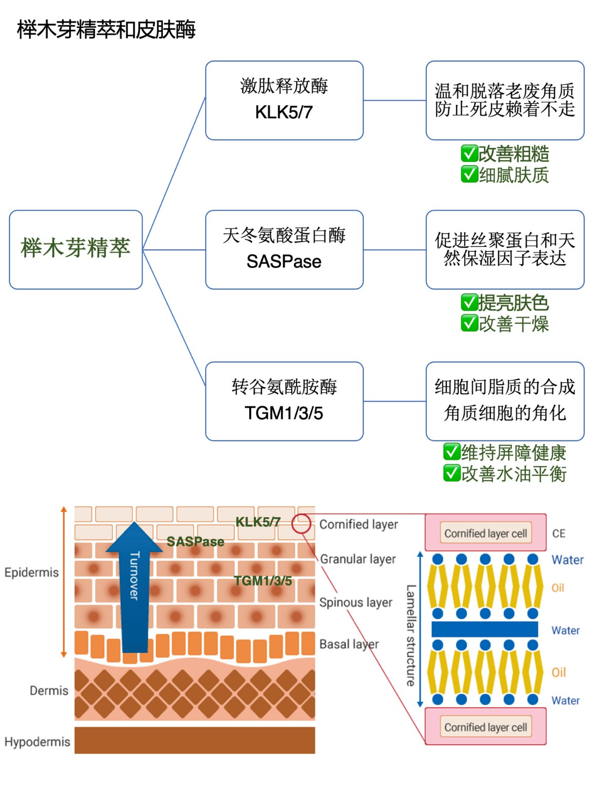 兰蔻三合一是水乳精华三合一吗,兰蔻水乳套装哪个系列好用