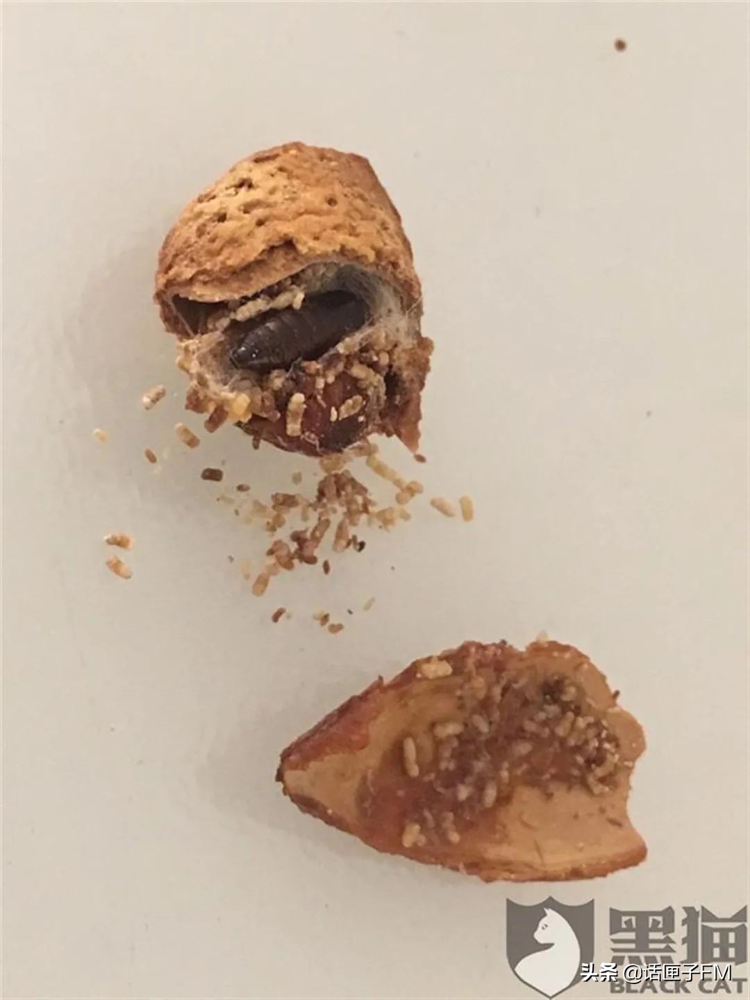 头皮发麻是寄生虫的原因吗,吃了坚果里的虫卵怎么办