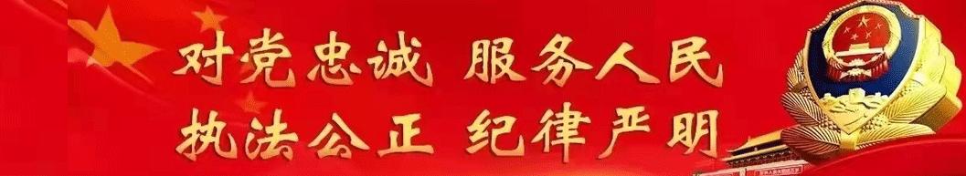 湖北公安行动,湖北警察街头抓捕