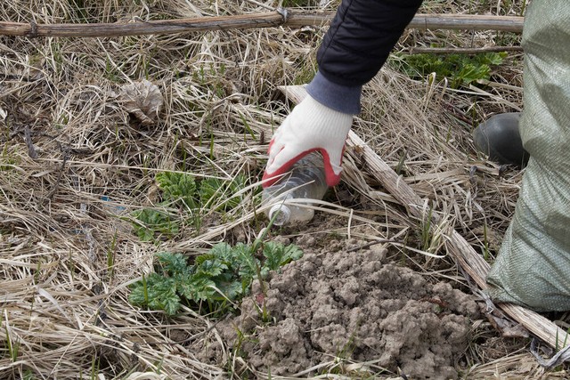 环境民事纠纷的解决案例分析,破坏环境民事责任的归责原则是