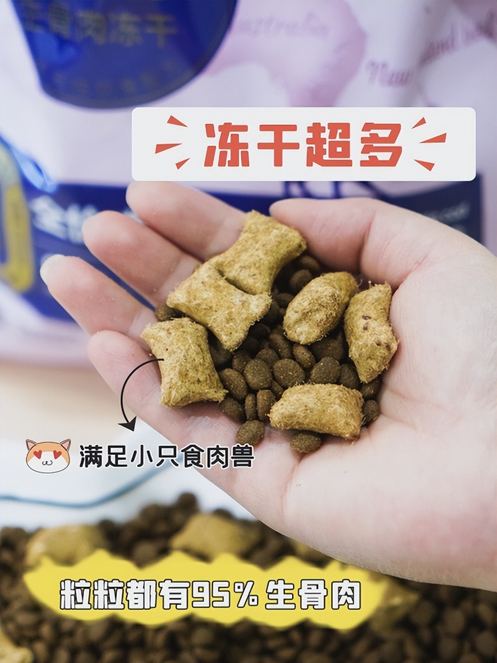 清除猫耳屎的方法,猫耳屎清理的过程