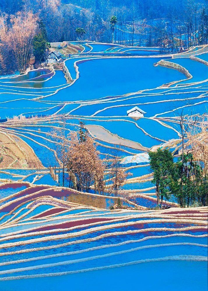 2022年春节云南免费景区,云南春节最合适的景点是哪些