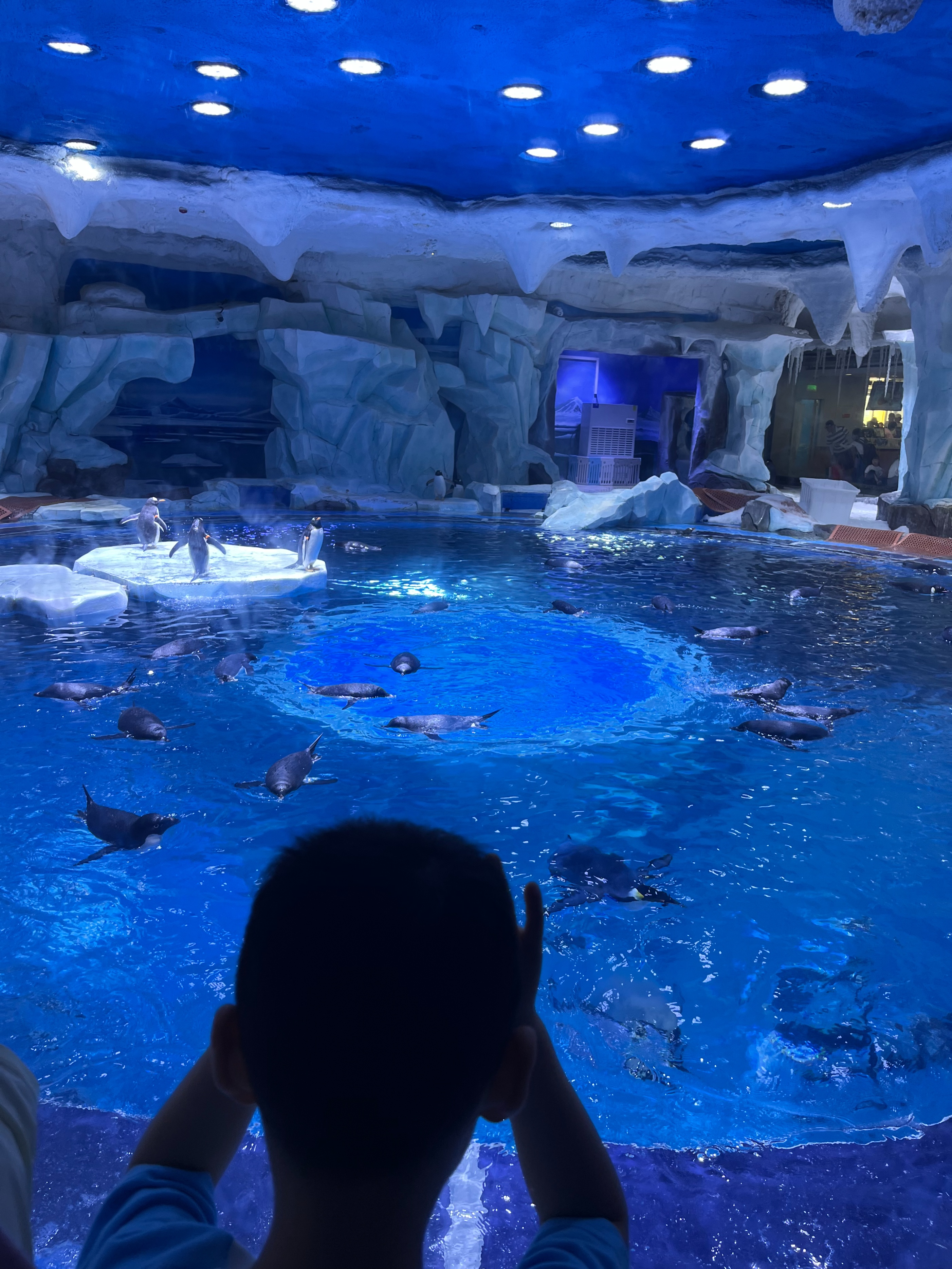 奥特曼主题馆上海海昌游玩攻略,日本奥特曼主题公园旅游