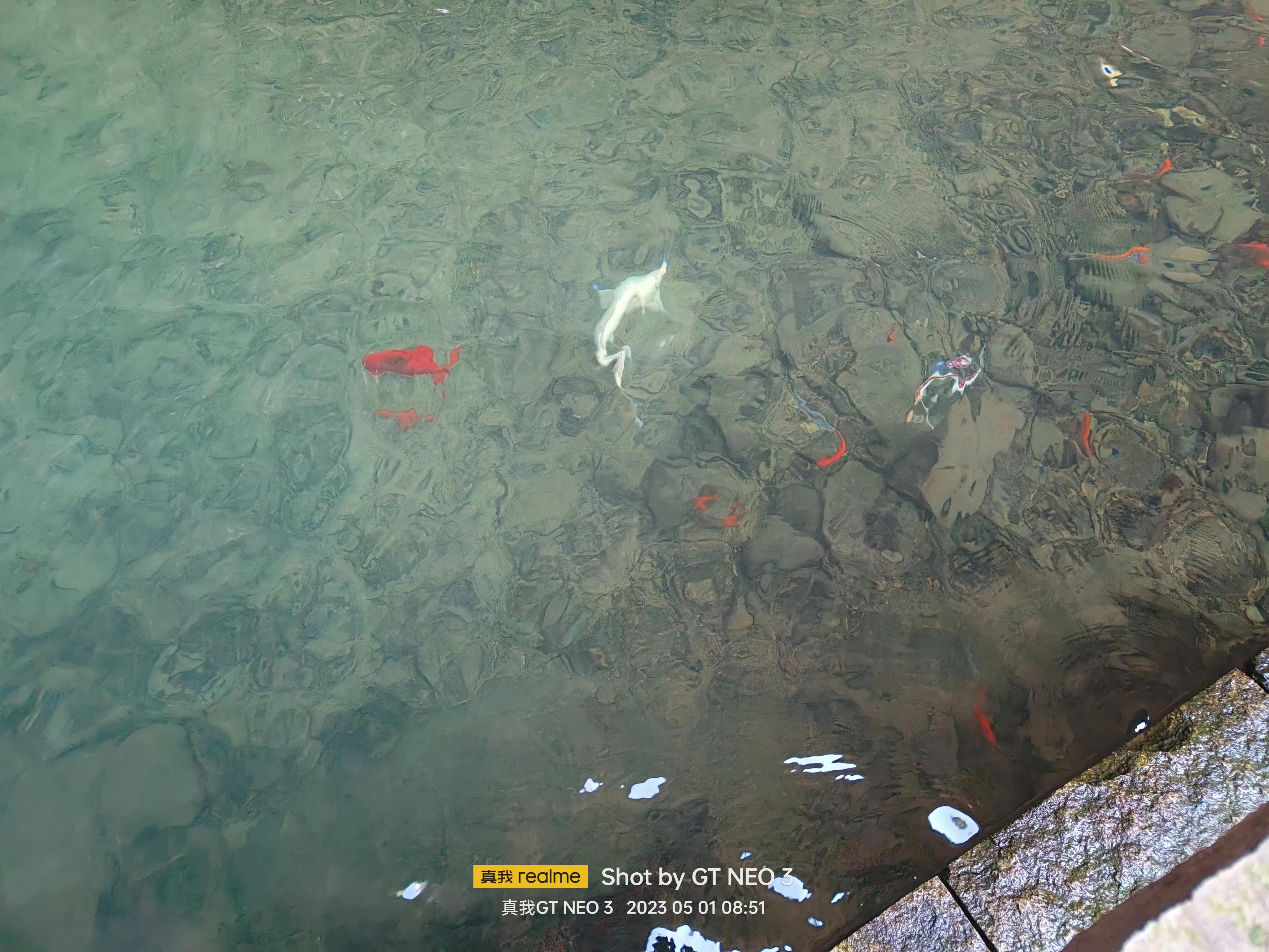 雁荡旅游日,雁荡二日游亲子