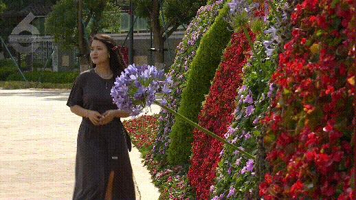 植被覆盖率中国,昆明植被覆盖率有多少