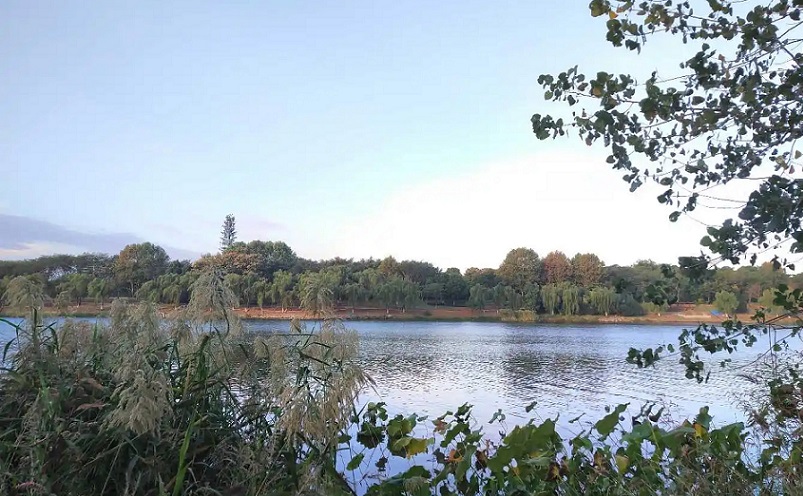 南京栖霞区免费游玩景点推荐,南京一百个免费景点