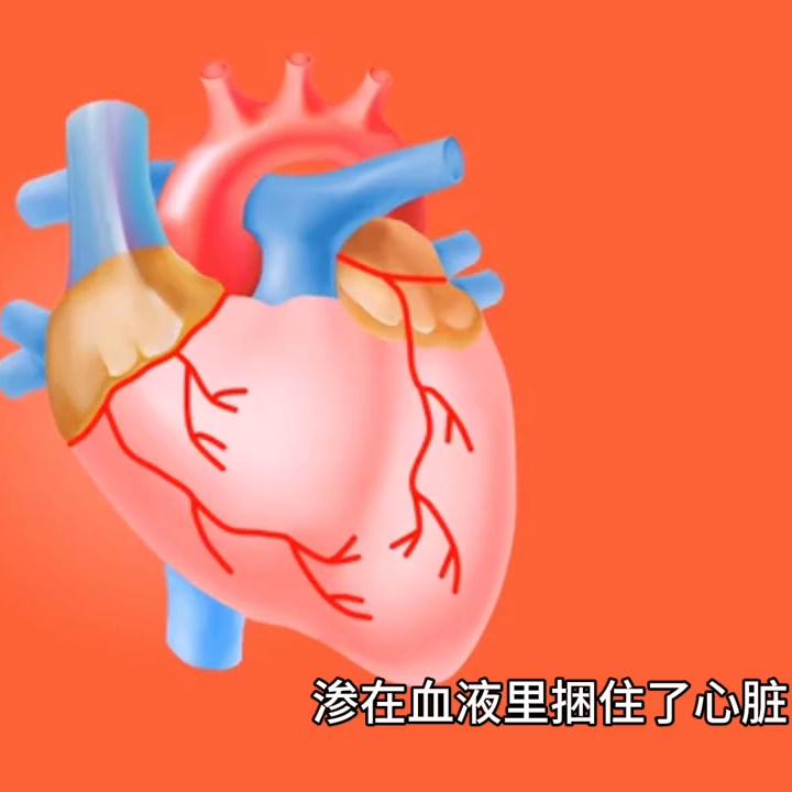 “亲爱的，我找到了工作！”——田蓉的房地产故事