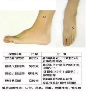 十二经络足阳明胃经穴位走向,胃部经络最易堵塞三个穴位