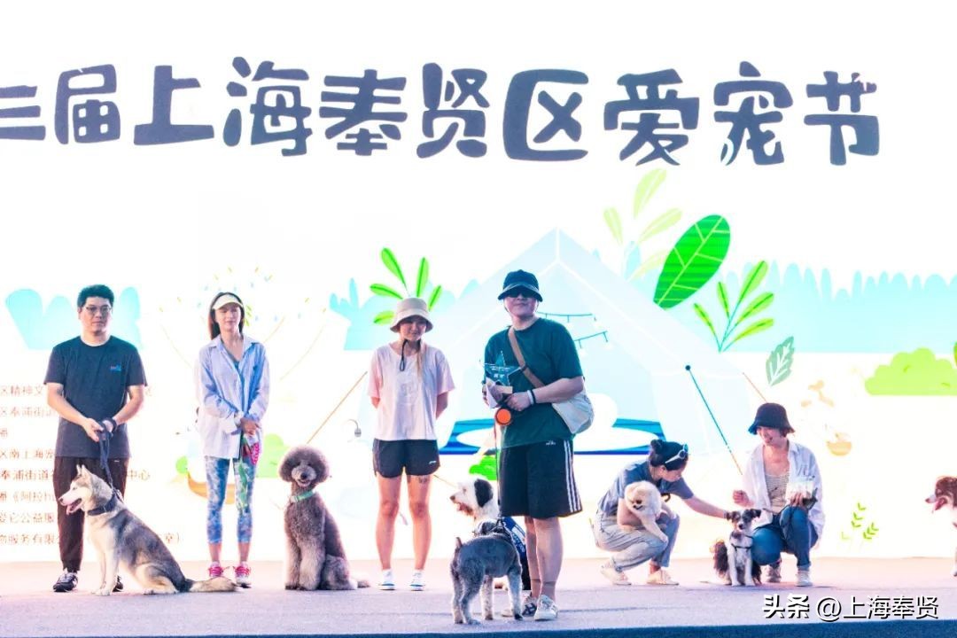 打造宠物社区,宠物友好型城市建设