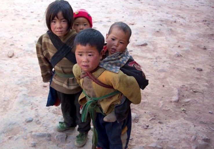 05年，美国“饺子皇后”6亿买宁夏荒滩，8年没挣钱，她却说赚大了