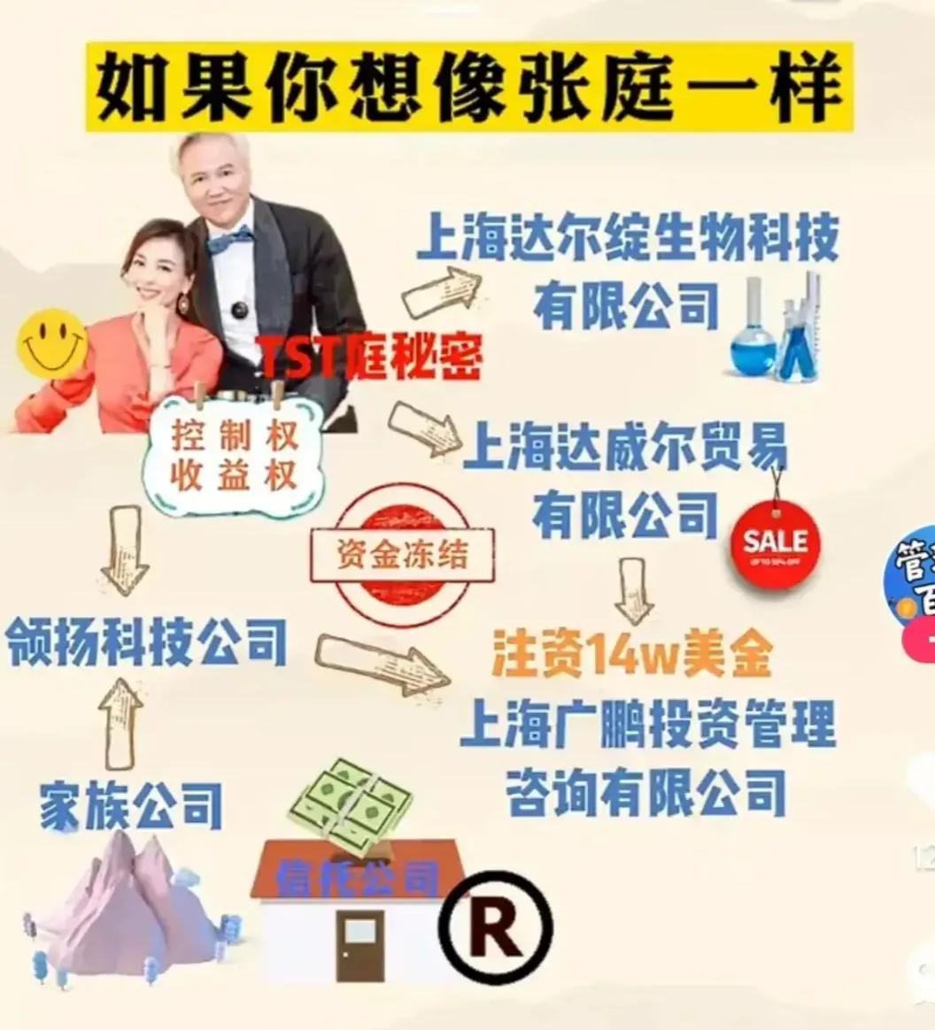 张庭林瑞阳被认定传销,张庭涉嫌传销被查处热评