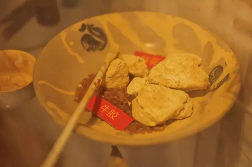 去“光明之城”追宋元文化，访最美海岸线，探索自然与人之不凡