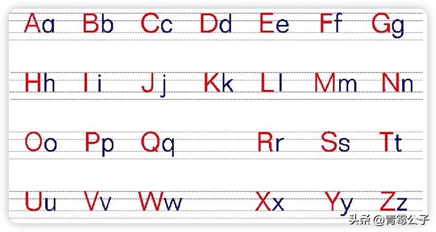 淋巴细胞和b细胞的关系,b淋巴细胞又称为