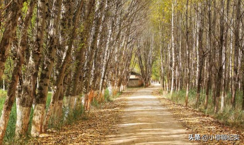 女生被囚禁求救,女子被人囚禁求救