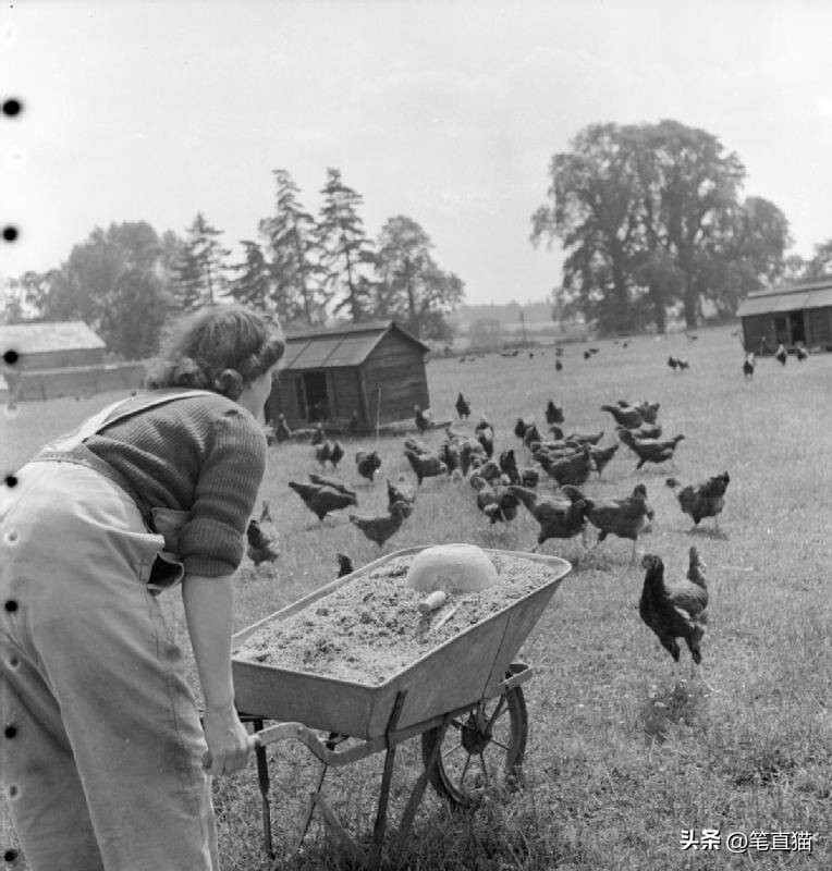 英国一个令人发指的战争阴谋，在德国放置核地雷