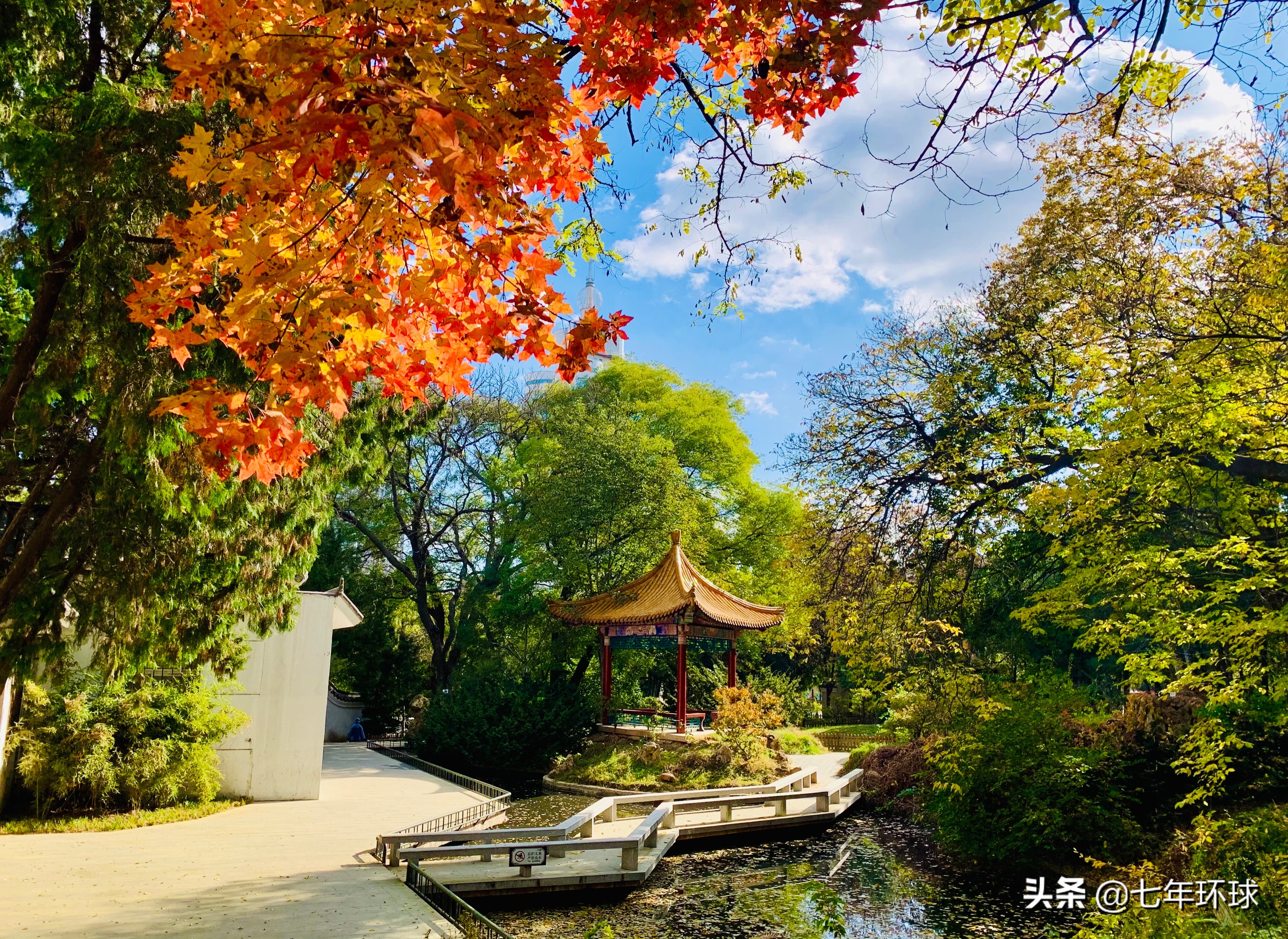 大连最美的景点在什么地方,大连旅游攻略大连景区排行榜