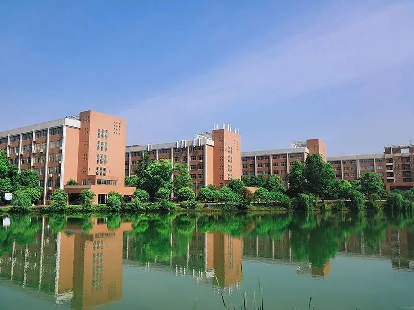 中南林业科技大学涉外学院公办吗,涉外学院中南林业科技大学招生办