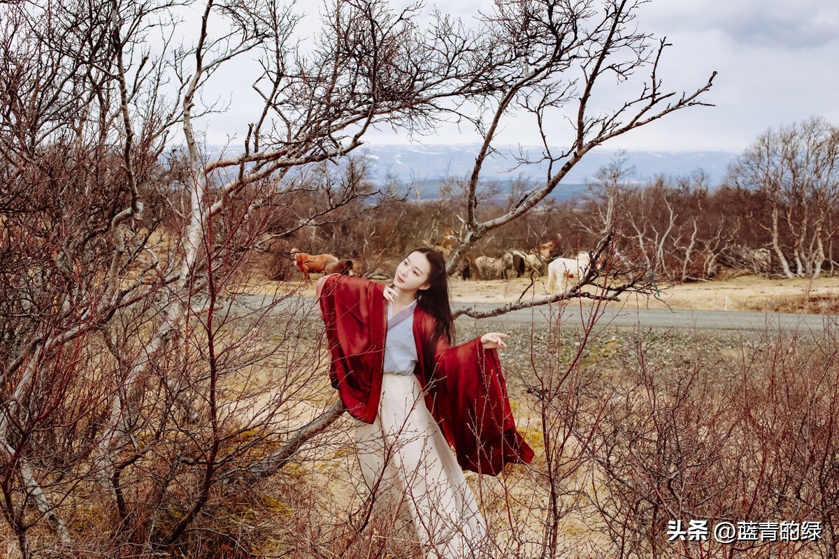 长相思3你的蛊，解了！从今往后，你和我再无一丝关系！