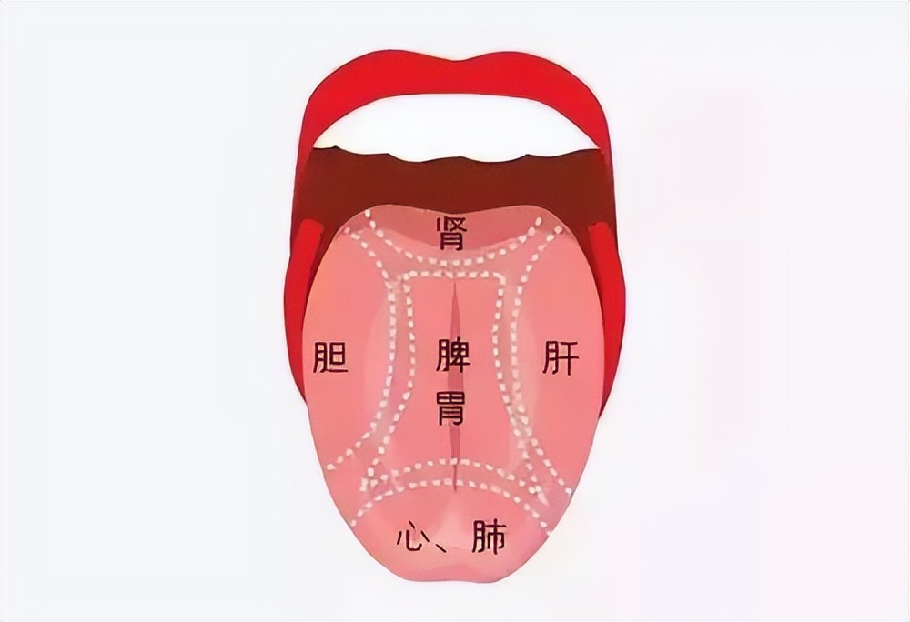 如何看舌象判断疾病准确用药,如何快速辨舌诊