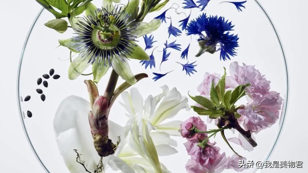 夏天敷补水保湿面膜,敷个面膜补补水分