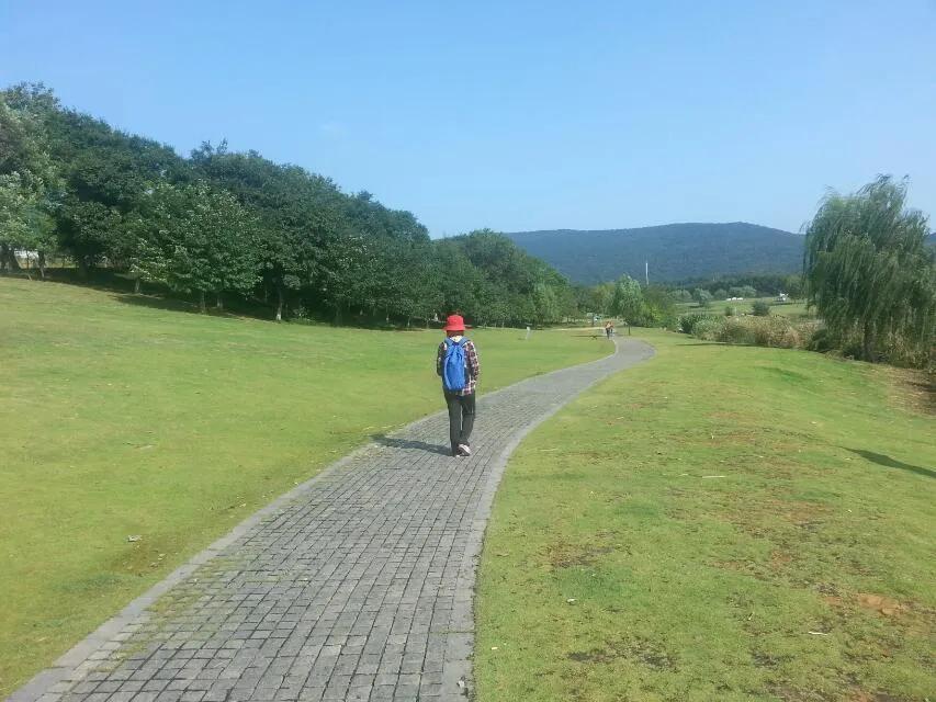 在南京旅游必须知道的90个常识,南京旅游最全攻略超实用