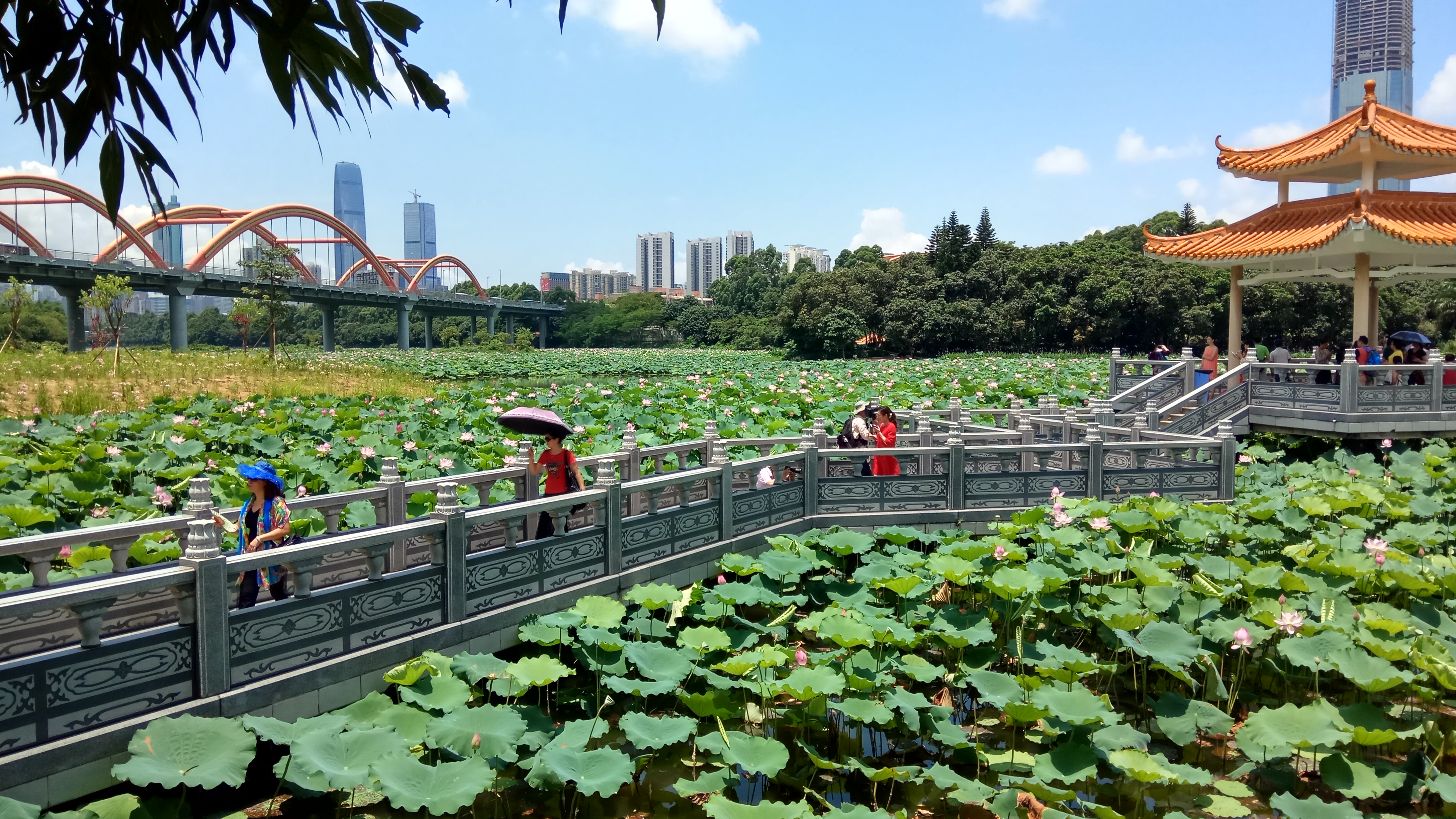 青春期社交恐惧症怎么克服,有社交恐惧症的人怎么克服