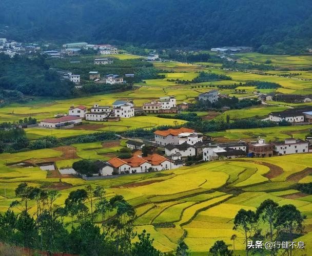 青山诗词经典赏析,关于描写青山的诗句古诗