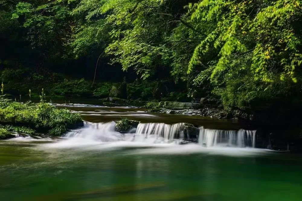 在汉中六一适合带孩子吃什么,提醒幼儿注意身体六一