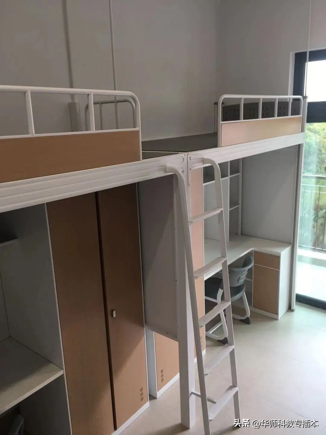 深职升本的话专科能变本科吗,深职升本科专业