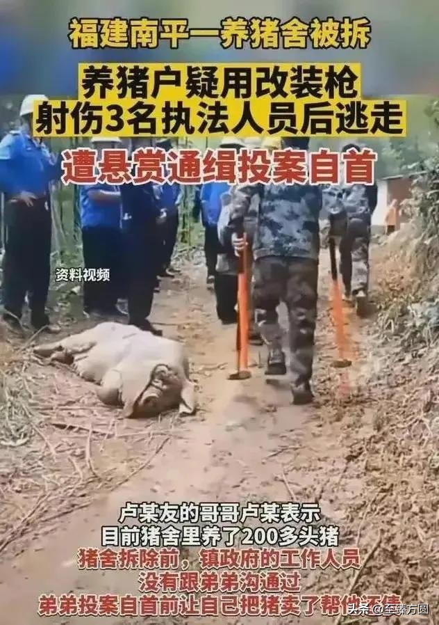 一句谎言破坏了一个家庭,一句谎话可以毁了一个家庭