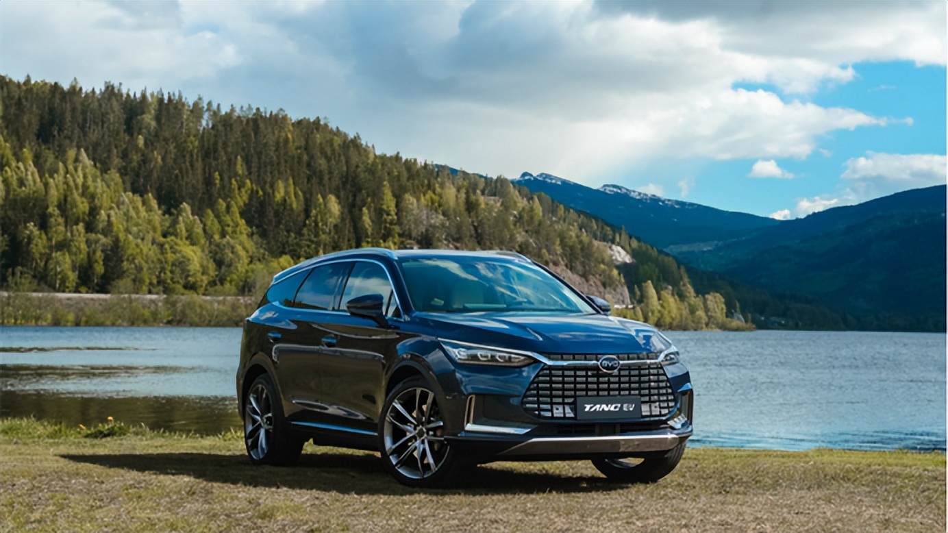 挪威卖得最好的电动车,挪威最畅销的国产电动车